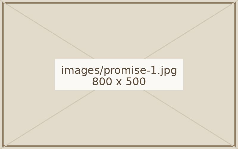 精米したての白米